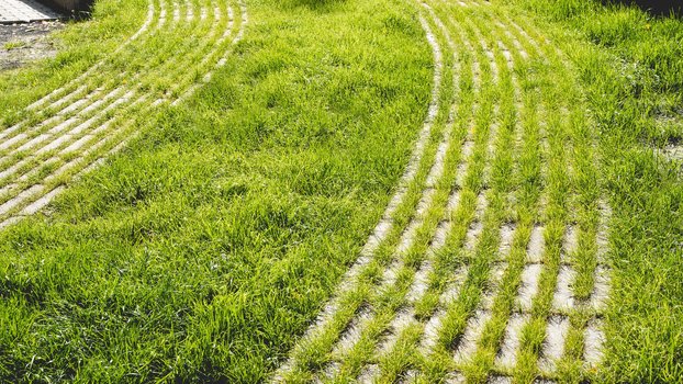 5 důvodů, proč si vybrat zatravňovací dlažbu místo zámkové