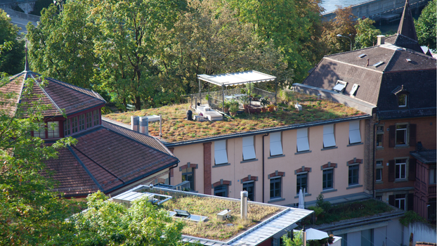 Jak přežít úmorná vedra v rozpálených městech? Řešením mohou být zelené střechy