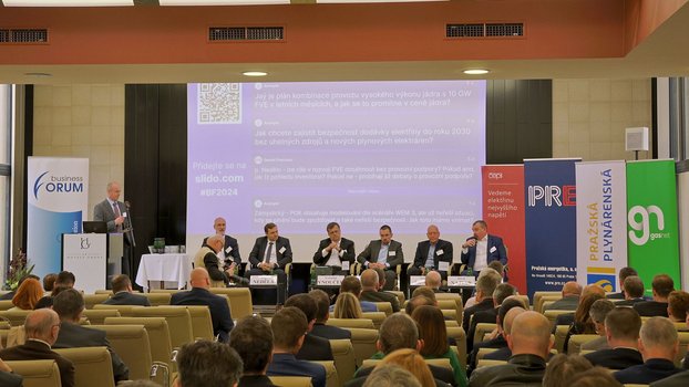 Německo má díky Green dealu levnější elektřinu, vyplatí se ji dovážet