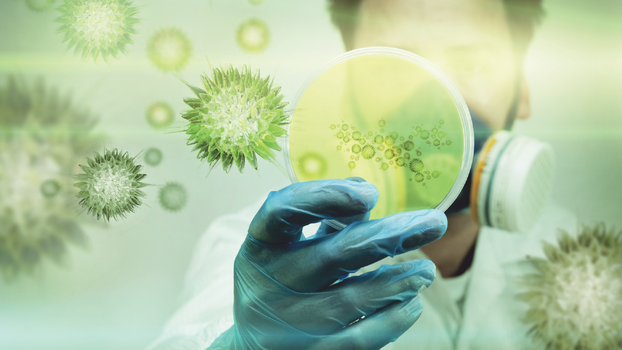 Vždy to nejlepší vnitřní prostředí